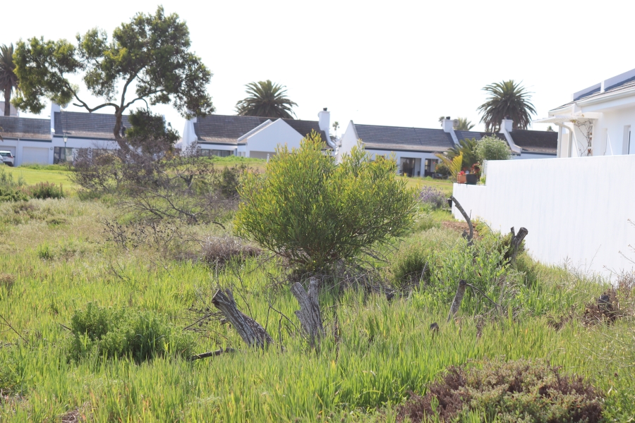 0 Bedroom Property for Sale in Shelley Point Western Cape